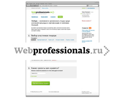«Webprofessionals.ru», концепт